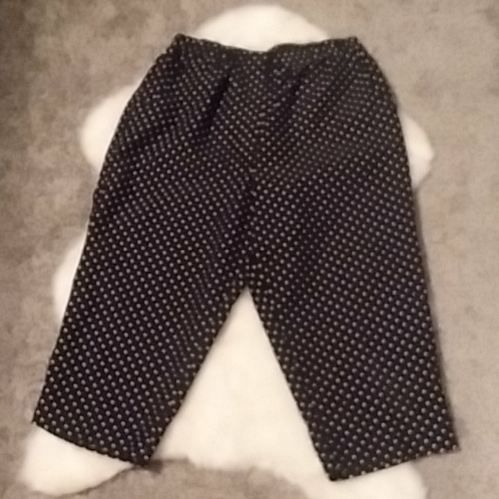 Kim Rogers Capri Pants! Size 12p!